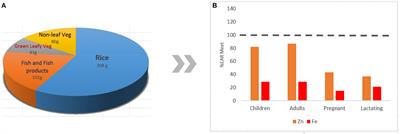 Zinc and Iron Nutrition Status in the Philippines Population and Local Soils